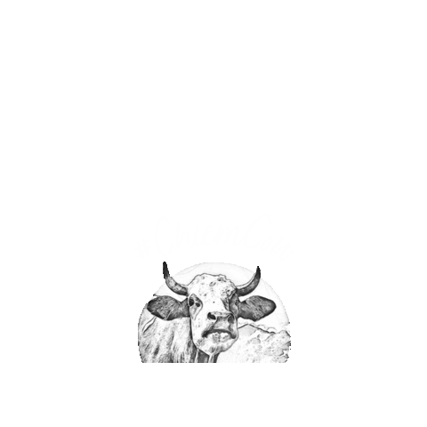 Tourist Info Übersee Sticker