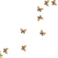 rainbows and butterflies gif