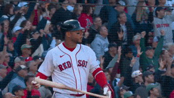 Red Sox Sport GIF by MLB