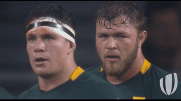 drama smile GIF by World Rugby