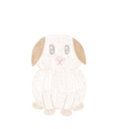 Bunny Rabbit Sticker