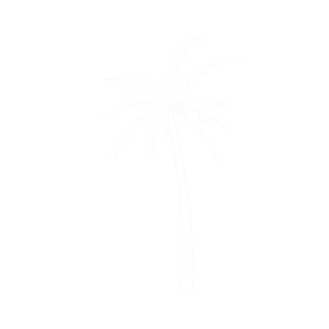 Palm Tree Summer Sticker