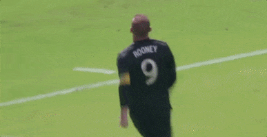 celebrate wayne rooney GIF by D.C. United