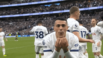 Pedro Porro Love GIF by Tottenham Hotspur