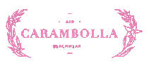carambolla Sticker