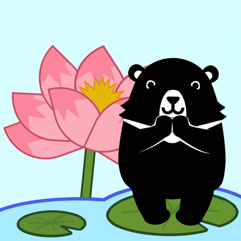 OCACOCNA GIF
