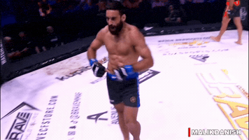 Khabib Nurmagomedov Ufc GIF