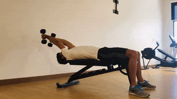 Weightlifting GIF