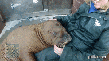 day snuggling GIF