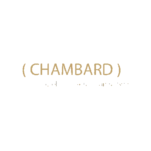Logo Bateau Sticker by le chambard