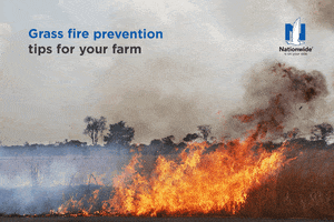 Farm Wildfire GIF by Nationwide