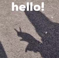 Bunny Hello GIF