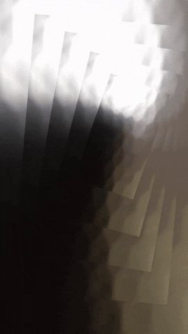 FOAID India GIF