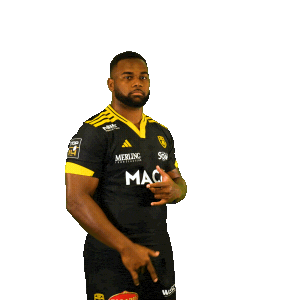 Rugby Sticker by Stade Rochelais