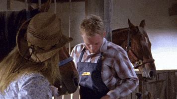 Francis Croissant GIF by Malcolm France