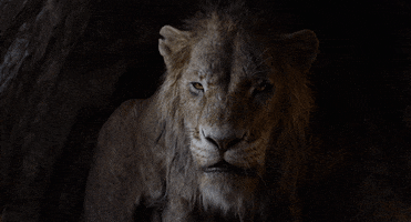 the lion king GIF by Walt Disney Studios