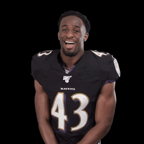 Sarcastic Baltimore Ravens GIF by NFL
