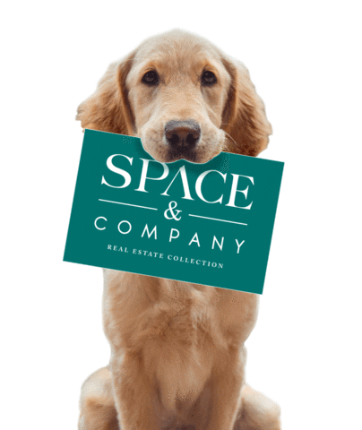 Sticker by Space & Company