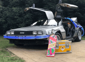 Delorean Rental GIF