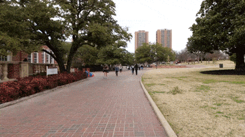 Texas Womans University College GIF by TXWomans