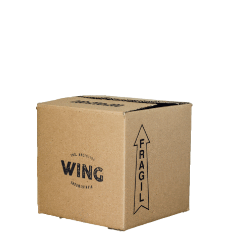 Futbol Wing Sticker by Wing_Football