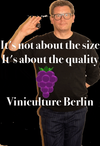 viniculture berlin naturalwine viniculture holgerschwarz GIF