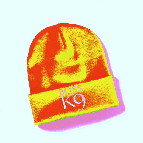 GIF by Boss K9