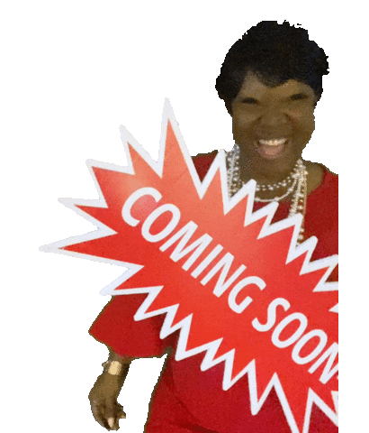 lanissa sudler realtor Sticker