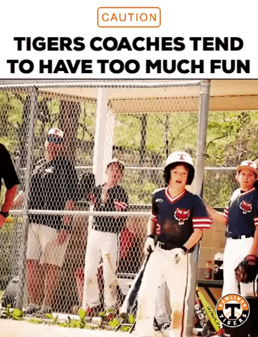Happy Lets Go GIF by Rawlings Tigers