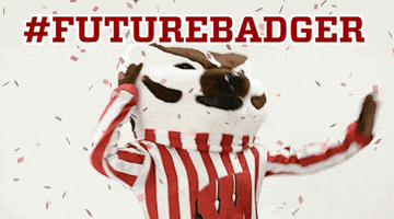 Buckybadger GIF by uwadmissions
