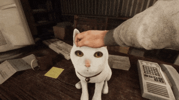 Happy White Cat GIF by Xbox