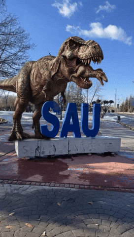 Sakarya GIF