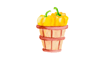 Farmers Market Health Sticker by colorsnack