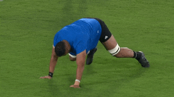 Spiderman Creeping GIF by Rugby World Cup