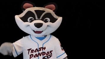 Baseball Raccoon GIF by Rocket City Trash Pandas