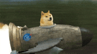 Doge Dancing Gifs Get The Best Gif On Giphy