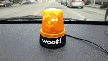 Happy Amazon GIF by Woot!