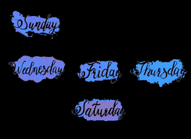 Curry On Naanstop GIF