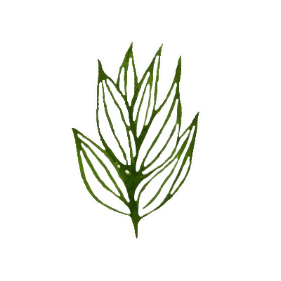 Summer Sticker