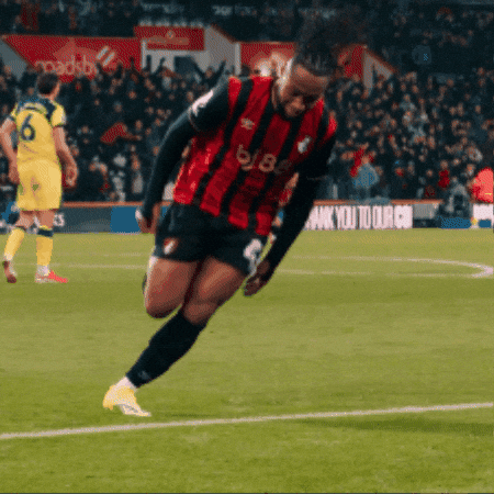 Premier League Football GIF by AFC Bournemouth