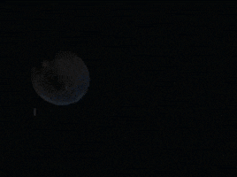 cosmos bioluminescence GIF by Global Entertainment