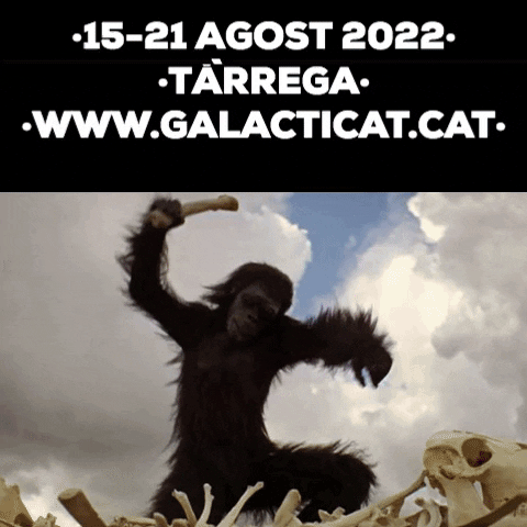 GalacticatFest tarrega galacticat galacticat film festival GIF