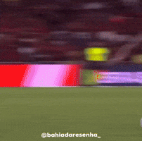Bahiadaresenha GIF