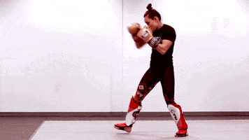 Mixed Martial Arts Fighting GIF by Onnit