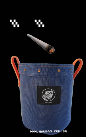 Hau Bag GIF