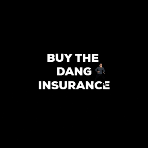 Real Family Travels GIF