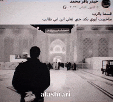 Shia GIF
