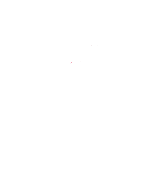 Corrida Thehardestrun Sticker by Overstress