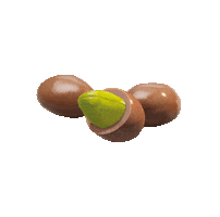 Chocolates Lacasa Sticker