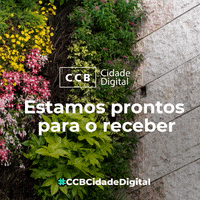 Ccb GIF by Centro Cultural de Belém